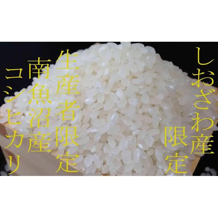 【令和7年産】【精米8kg】しおざわ産限定 生産者限定 南魚沼産コシヒカリ【銘柄米 ブランド米 精米 こしひかり コシヒカリ 魚沼産 新潟米 産地直送 お米 米 こめ コメ ご飯 御飯 ごはん】