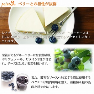 糖質85％カット 低糖質レアチーズケーキ 0007-016-S05