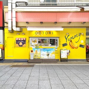【人気店 新宿OOTORI】極熟★OOTORIバナナの素 100g（5個セット）砂糖不使用 バナナジュース用冷凍バナナ 0033-001-S05