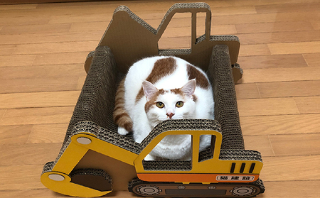 猫の爪とぎ　ショベルカー 猫 ねこ ネコ キャット cat 爪とぎ ダンボール 段ボール 丈夫 なりきり 写真映え 日本製 国産 おもちゃ ペット ペット用玩具 インテリア 動物 猫用品 猫用玩具 グッズ 愛猫へのプレゼント ペット用品 愛知県 常滑市