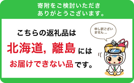 のし対応可能 【いとを菓子　盛栄堂】くじらの町南房総のくじらあげまん　10個入り mi0067-0002 あげまんじゅう かりんとうまんじゅう 和菓子 お菓子 ｽｲｰﾂ