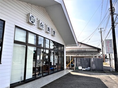 房州名物　酒まんじゅう（10個入）ふるさとの味 mi0071-0001