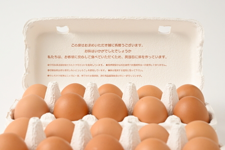 【4ヶ月定期便】料理人も「うまい！」と絶賛 昔の味たまご 20個入り（18個＋割れ補償2個）×4か月| 卵 鶏卵 玉子 たまご 生卵 国産 濃厚 コク 卵かけご飯 旨味 旨み ※着日指定不可