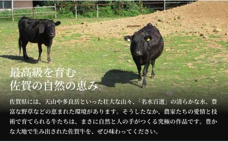 佐賀牛 切り落とし460g【旨味豊富なブランド牛！煮物から炒め物まで多種多様な料理に使える切り落とし肉】N12-17