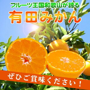 AT6315_【2026年先行予約】ご家庭用　有田みかん 約7kg (2L、3Lサイズ)【湯浅町】
