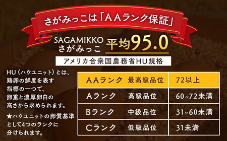 井上さん家 こだわりたまご 平飼い有精卵さがみっこ《かながわブランド認定》10個入り×3パック 計30個｜たまご 平飼い 有精卵