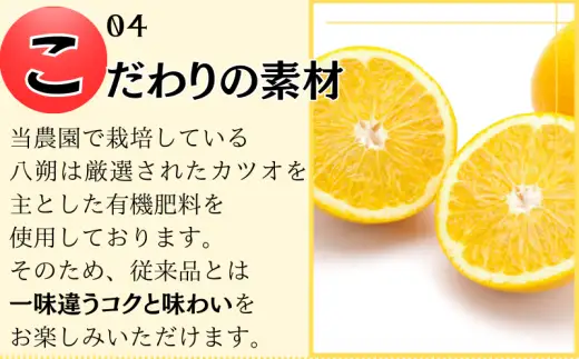  きみの八朔ジュース 180mL×6本 / 果汁 ジュース 八朔ジュース オレンジジュース  ドリンク セット 有機 無添加 100% 【kmf100-ha-6】