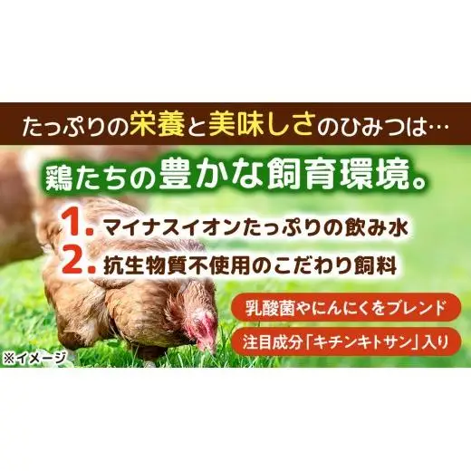 キトサン 健康 たまご 80個入