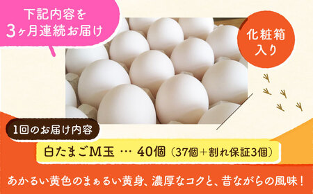 【全3回定期便】【化粧箱入り】白たまご M玉 40個（37個＋3個割れ保証）【株式会社 かもと養鶏】タマゴ 玉子 熊本県 卵 国産 新鮮 しろたまご M玉 濃厚 [ZCA010]