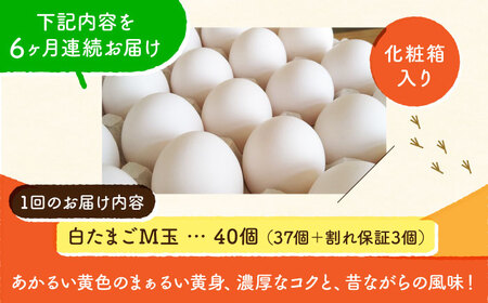 【全6回定期便】【化粧箱入り】白たまご M玉 40個（37個＋3個割れ保証）【株式会社 かもと養鶏】タマゴ 玉子 熊本県 卵 国産 新鮮 しろたまご M玉 濃厚  [ZCA011]