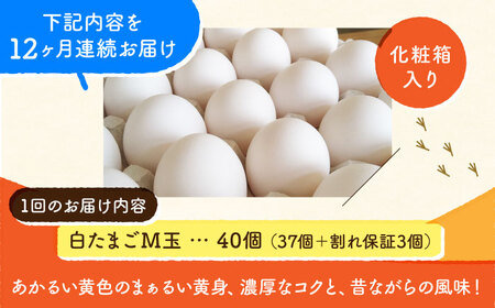 【全12回定期便】【化粧箱入り】白たまご M玉 40個（37個＋3個割れ保証）【株式会社 かもと養鶏】タマゴ 玉子 熊本県 卵 国産 新鮮 しろたまご M玉 濃厚 [ZCA012]