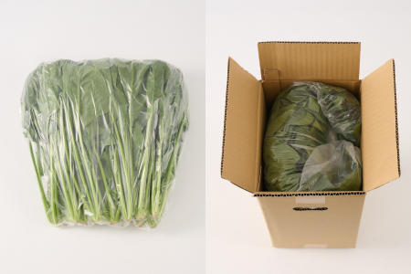 ほうれん草 1kg バラ詰め(大きな袋に1kg)【佐賀県脊振山麓産】(H091116)