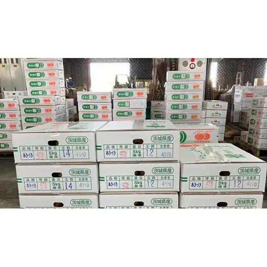 【 2026年9月上旬発送開始 】 茨城県産 梨 秋月 （約 5kg ） 10～14玉