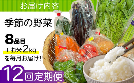【12回定期便】野菜定期便 お米と季節のやさい 8品目 野菜 定期便 / ながさき南部 [SBW015]