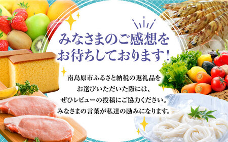 【4代目 麺匠 高橋優】 そうめん 750g / 島原そうめん 手延べ 麺 素麺 乾麺 / 南島原市 / 高橋正製麺所 [SCG007]