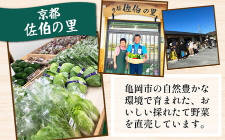旬の朝採れ 新鮮 野菜セット 野菜