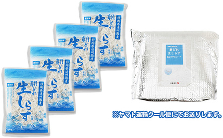 【数量限定】浜松生しらす（冷凍）100g×4パック 魚貝類 海の幸 海鮮 冷凍しらす 鮮度がいい 厳選生しらす 冷凍生しらす ご飯のお供 しらす丼 海鮮丼 