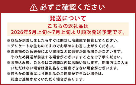 熊本産 西瓜 約5kg～1玉入り【2026年5月上旬～7月上旬迄順次発送予定】すいか 果物 フルーツ