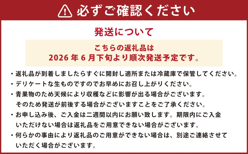 熊本産 パッションフルーツ 1kg前後【2026年6月下旬～8月上旬発送予定】 果物 フルーツ くだもの 美容 健康 栄養素