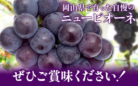 ニューピオーネ ご家庭用 1.2kg 2 ~ 3房
