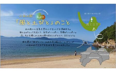 【特別栽培・農家直送】旬のお野菜 詰め合わせギフトセット 6～7品 ウッドBOX付き