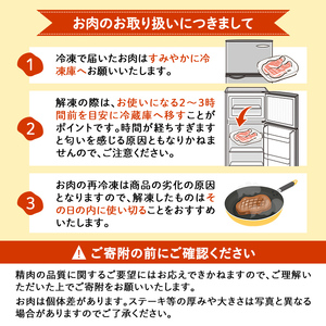 鹿児島県志布志市産横峯黒毛和牛の赤身焼肉(計450g・225g×2P) 鹿児島県産 国産 牛肉 牛 赤身 赤身肉 焼き肉 希少牛 手切り モモ ウデ バーベキュー BBQ b0-195