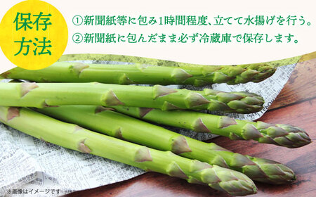 【先行予約】アスパラガス (夏芽) 約1kg 【2026年7月初旬〜9月中旬発送分】《小値賀町》【ながさき西海農協小値賀地区園芸部会】 [DAT005]