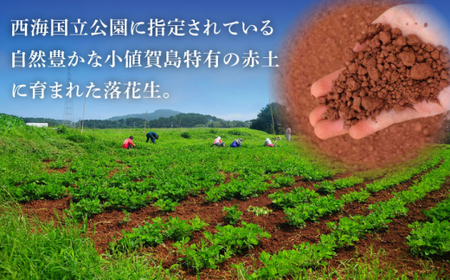 【幻の落花生】むき身 落花生 40g×20 ピーナッツ [DAA037] 落花生