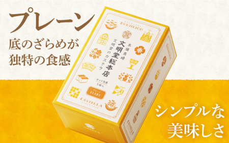 【12回定期便】 カステラ 2種 プレーン/チョコレート  [DBF018] カステラ