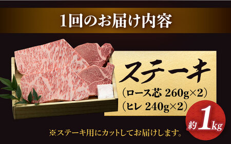 【12回定期便】長崎和牛 極厚ステーキ 食べ比べ [DBK010] 12回 ステーキ 食べ比べ