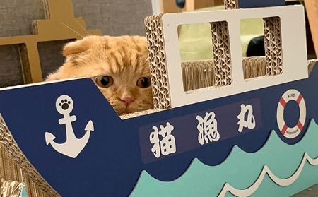 猫の爪とぎ　漁船 猫 ねこ ネコ キャット cat 爪とぎ ダンボール 段ボール 写真映え かわいい 船 日本製 国産 おもちゃ ペット インテリア 愛猫 動物 猫用品 猫用玩具 グッズ 愛猫へプレゼント ペット用品 愛知県 常滑市