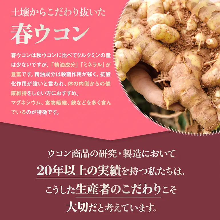 【金秀バイオ】春ウコン 粒 900粒 6袋 セット 180日 分(約 6ヶ月 分) サプリ サプリメント 沖縄県産 春ウコン 100% 栽培期間中農薬・化学肥料不使用 クルクミン ミネラル 鉄分 抗酸化作用 国産ウコン 姜黄 キョウオウ 国産 健康食品 沖縄県 糸満市