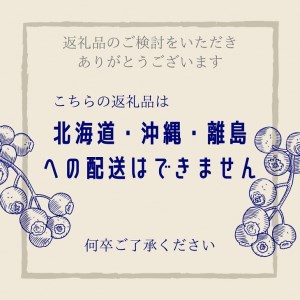 朝摘みブルーベリー 生果実 600g ベリー