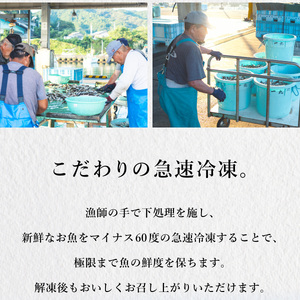 ノドグロ 約1kg 産地直送 冷凍 下処理済 アカムツ のどぐろ 高級魚 水揚げ時重量約1kg 下処理後約800g