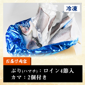 脂ののった鹿児島県産養殖ぶり（ハマチ）の切り身 2kg（ロイン4節・カマ2個付）【00-117-02】