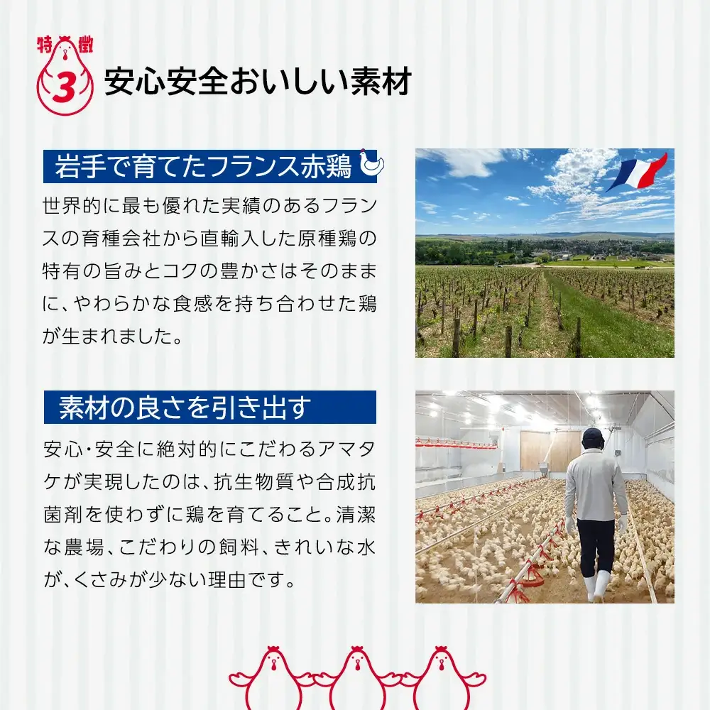 サラダチキン アマタケ サラダチキン 6種11P入 【04209-0190】 サラダチキン　低糖質 ダイエット 低カロリー 筋トレ 時短 鶏肉 　ダイエット 冷凍