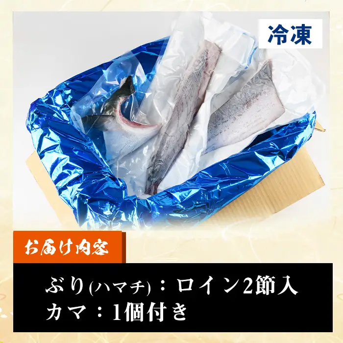 鹿児島県産 ぶり 切り身 1kg ぶり【00-117-01】