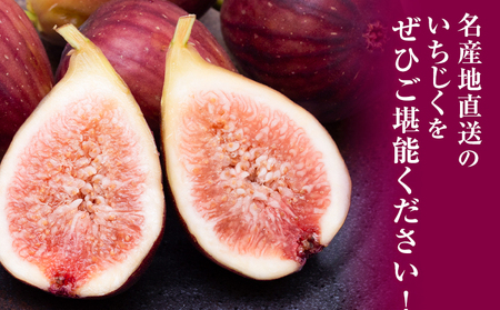 【先行予約】いちじく イチジク 約1.2kg 300g × 4パック 岸武青果株式会社《2026年8月上旬-10月下旬頃より出荷予定》 和歌山県 紀の川市 イチジク 生 産地直送 果物 フルーツ