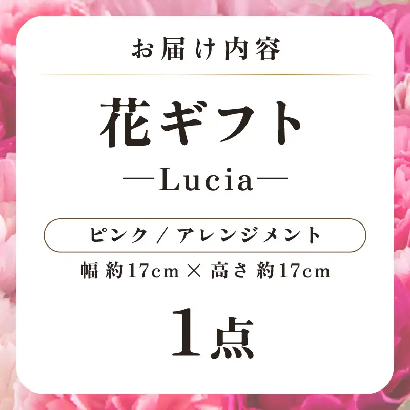気分を変える花ギフト -Lucia- (アレンジメント・ピンク)／ 誕生日 母の日 父の日 クリスマス 結婚祝い 結婚記念日 サプライズ お祝い アレンジメント 花束 プレゼント 贈り物 フラワーアレンジメント フラワーギフト 生花 お花 花屋 [aw062-a002_03]