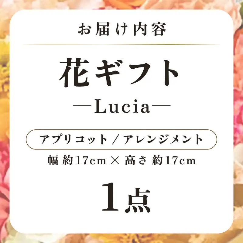 気分を変える花ギフト -Lucia- (アレンジメント・アプリコット)／ 誕生日 母の日 父の日 クリスマス 結婚祝い 結婚記念日 サプライズ お祝い アレンジメント 花束 プレゼント 贈り物 フラワーアレンジメント フラワーギフト 生花 お花 花屋 [aw062-a002_05]