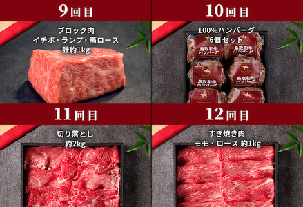 Y013 【和牛セレブ】鳥取和牛 定期便 ダイヤモンドクラス
