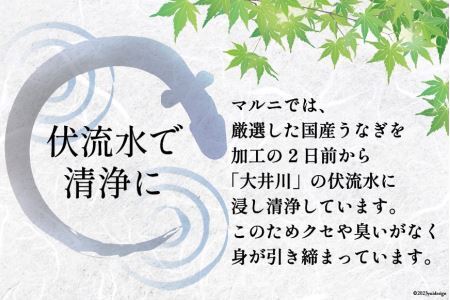 うなぎ 国産 蒲焼き 2尾 12回定期便 [22424423]