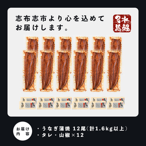 【数量限定】鹿児島県産うなぎ蒲焼 名水慈鰻 12尾(1尾約120g以上)＜計約1.6kg以上＞ うなぎ 鰻 ウナギ 国産 鹿児島県産 九州産 蒲焼き 冷凍 うな重 ひつまぶし f2-003