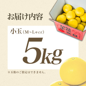 【先行予約】【日本ギフト大賞2024受賞】園主こだわりの土佐文旦 5kg 小玉（L～Mサイズ） 2027年1月下旬より順次発送 家庭用 贈答用 ぶんたん ブンタン【やの一果彩】 [BQAC017]