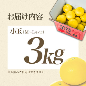 【先行予約】【日本ギフト大賞2024受賞】園主こだわりの土佐文旦3キロ 小玉（L～Mサイズ） 2027年1月下旬より順次発送 家庭用 贈答用 ぶんたん ブンタン 柑橘 みかん【やの一果彩】 [BQAC016]