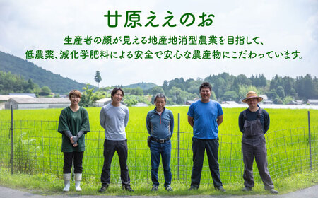 多治見のジャム いちご・ブルーベリー 200g×6個  多治見市/廿原ええのお ジャム パン ヨーグルト いちご 瓶 ビン 苺 ブルーベリー ベリー フルーツ 旬 つづはら プレゼント ギフト 贈答 贈り物 手土産 送料無料 [TCI003]