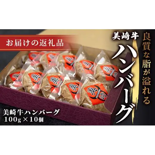 美崎牛ハンバーグ 100g×10個　 O-6