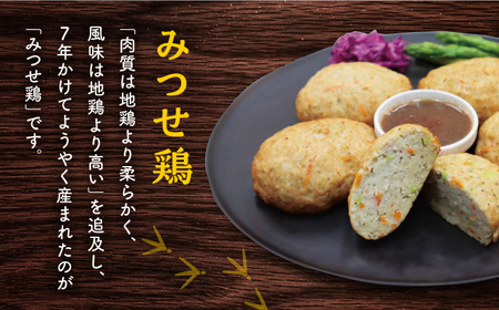 みつせ鶏 ふんわり豆腐ハンバーグ 計10個 惣菜 はんばーぐ [FAE163]