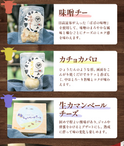 【お中元のし付き】チーズセットB 計5種 北海道 チーズ ギフト
