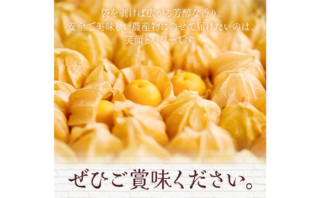 【2026年発送 先行予約 】フルーツ ほおずき 太陽の子 約500g のざわ農園《10月上旬-11月上旬頃出荷》北海道 日高町 希少 ホオズキ